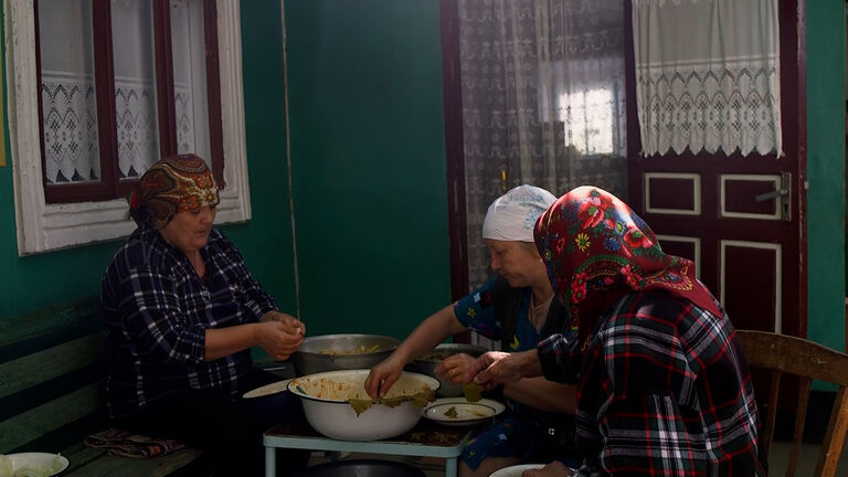 Categorie Non-Fictie: Consider a Tomato