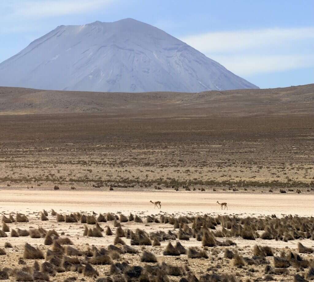 Eenzaamheid | Lonliness 