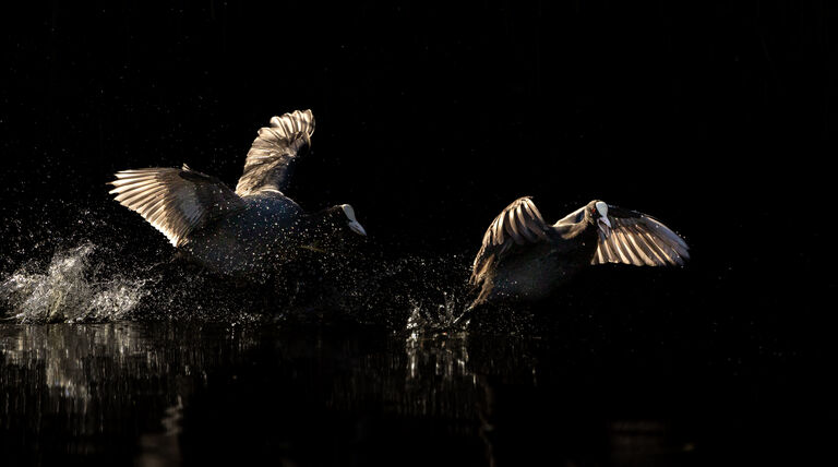 Explosie van licht en water