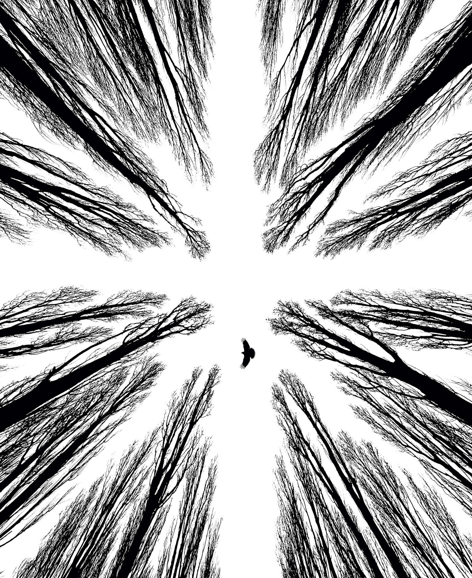 Forum Wildlife Fotowedstrijd Genomineerde