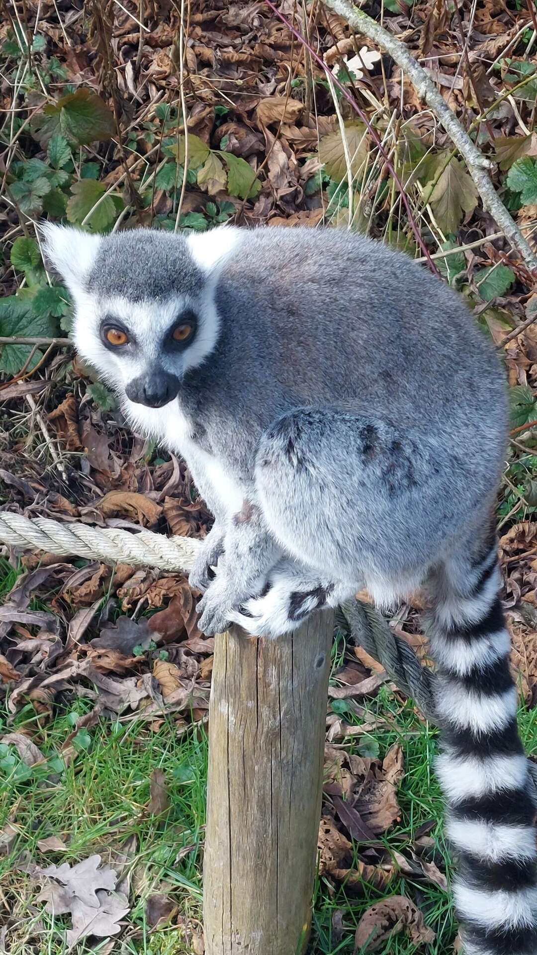 Forum Wildlife Fotowedstrijd Genomineerde