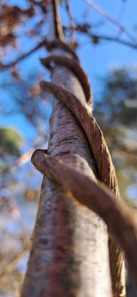 Geen titel | No title