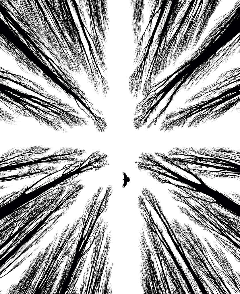 Net niet op de juiste plek... | Just not in the right spot…