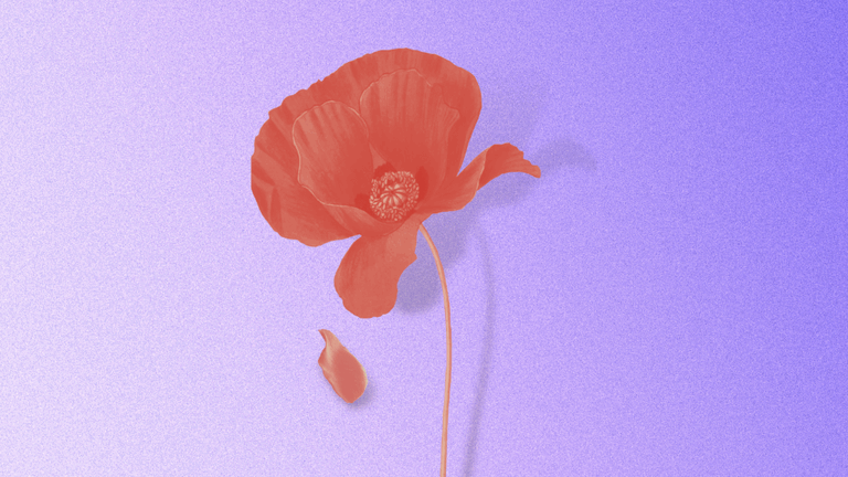 Publieksacademie Sociale Wetenschappen livestream