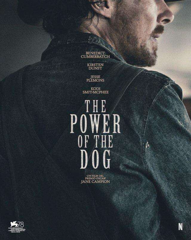 The power of the dog