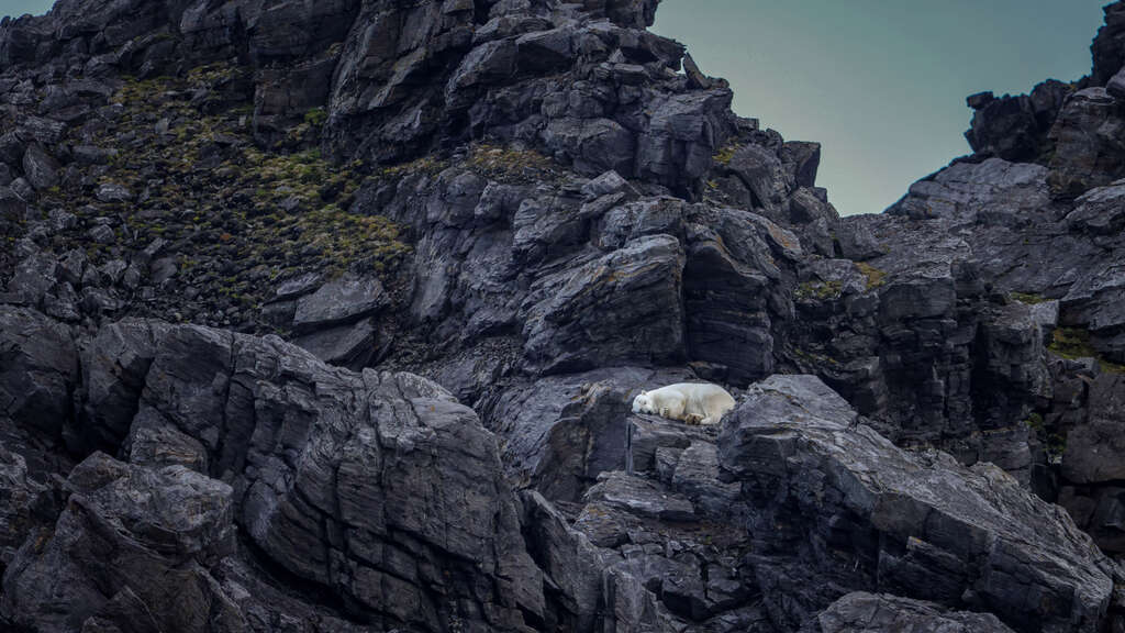 Wit op Zwart | White on Black 